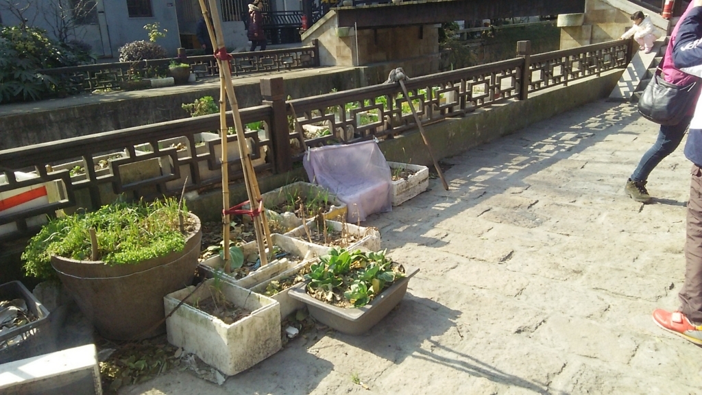 f:id:fyilips:20180421135108j:plain