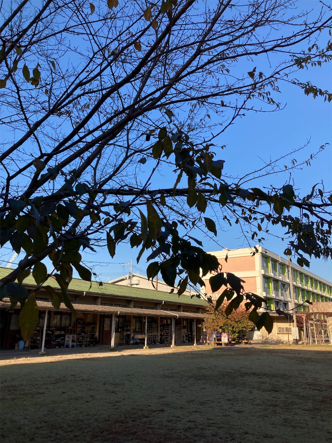 f:id:fymrsfujiko:20221031233531j:image f:id:fymrsfujiko:20221031233531j:image