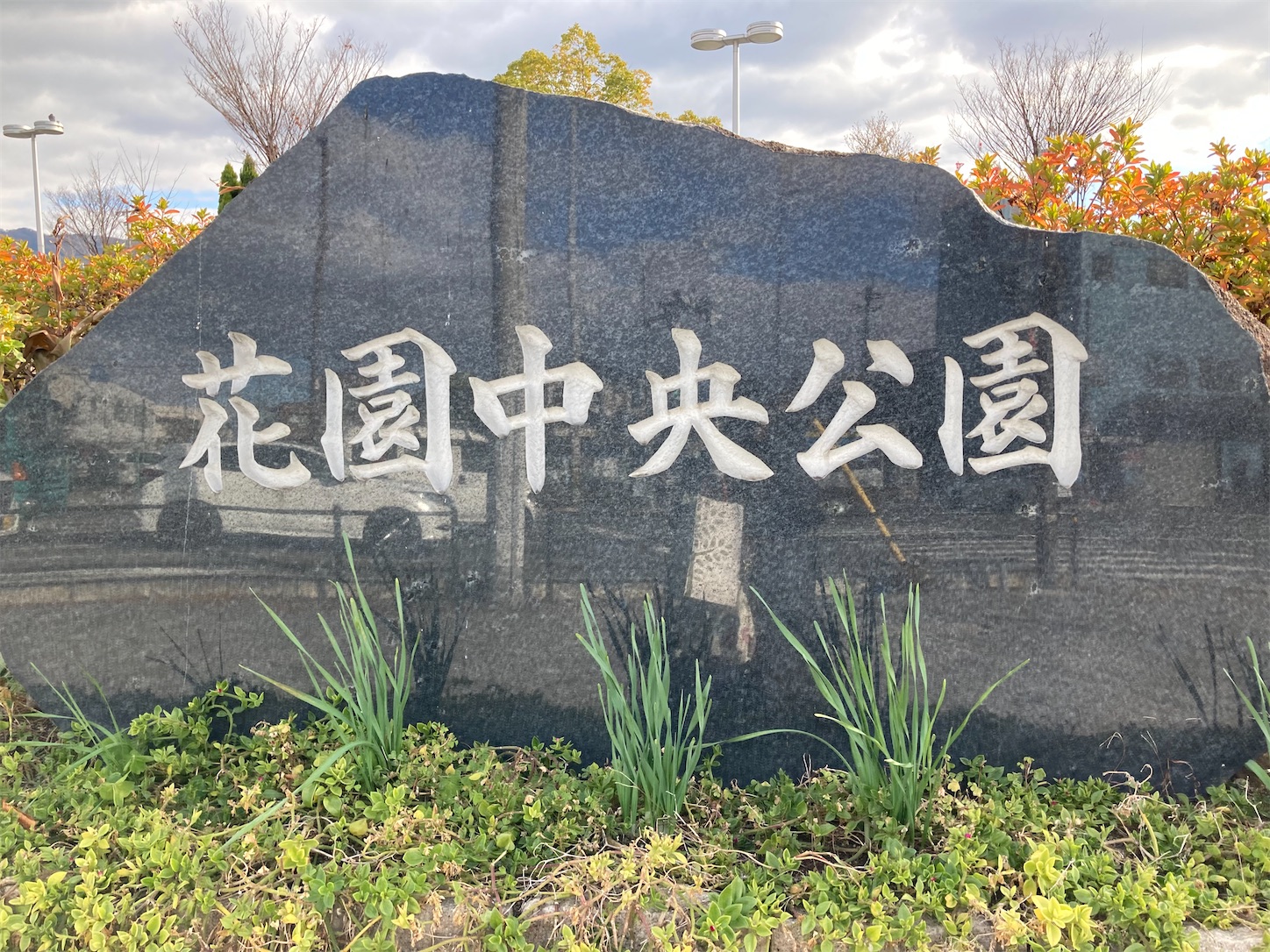 f:id:fymrsfujiko:20221231174324j:image f:id:fymrsfujiko:20221231174324j:image