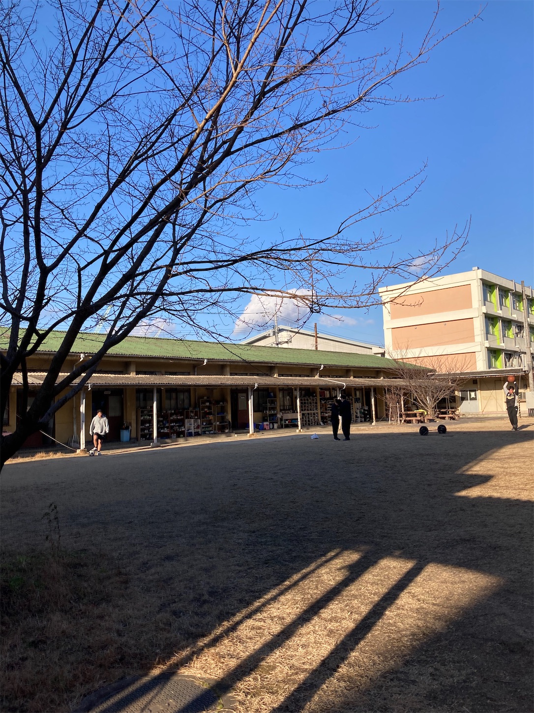 f:id:fymrsfujiko:20230131112234j:image f:id:fymrsfujiko:20230131112234j:image