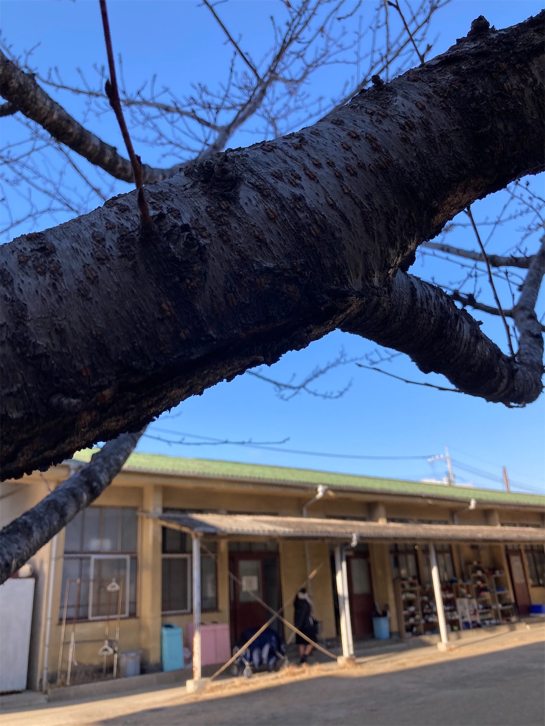 f:id:fymrsfujiko:20230131112419j:image