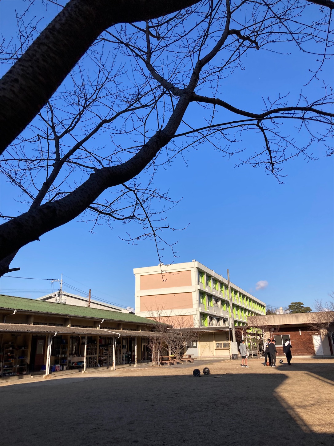 f:id:fymrsfujiko:20230131222630j:image f:id:fymrsfujiko:20230131222630j:image