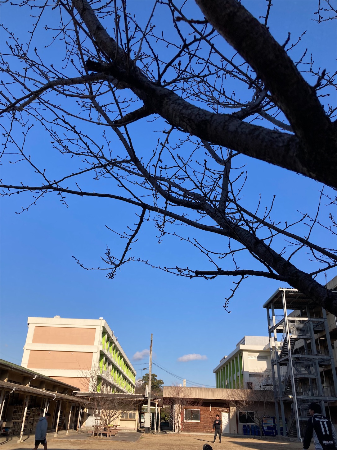 f:id:fymrsfujiko:20230131222912j:image