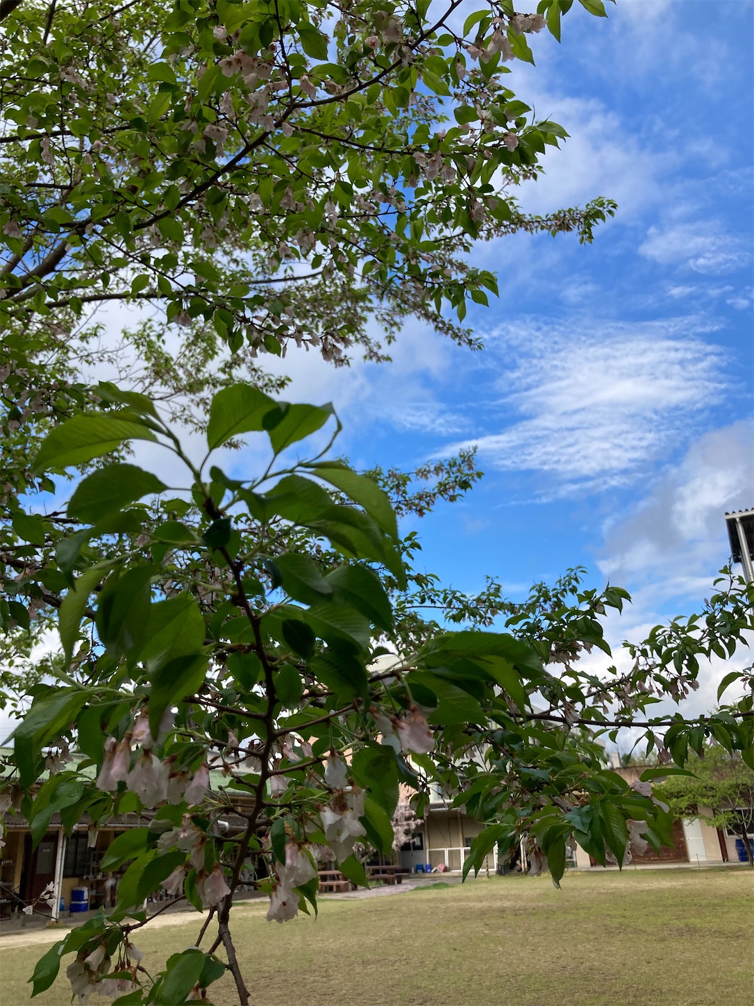 f:id:fymrsfujiko:20230410143155j:image f:id:fymrsfujiko:20230410143155j:image