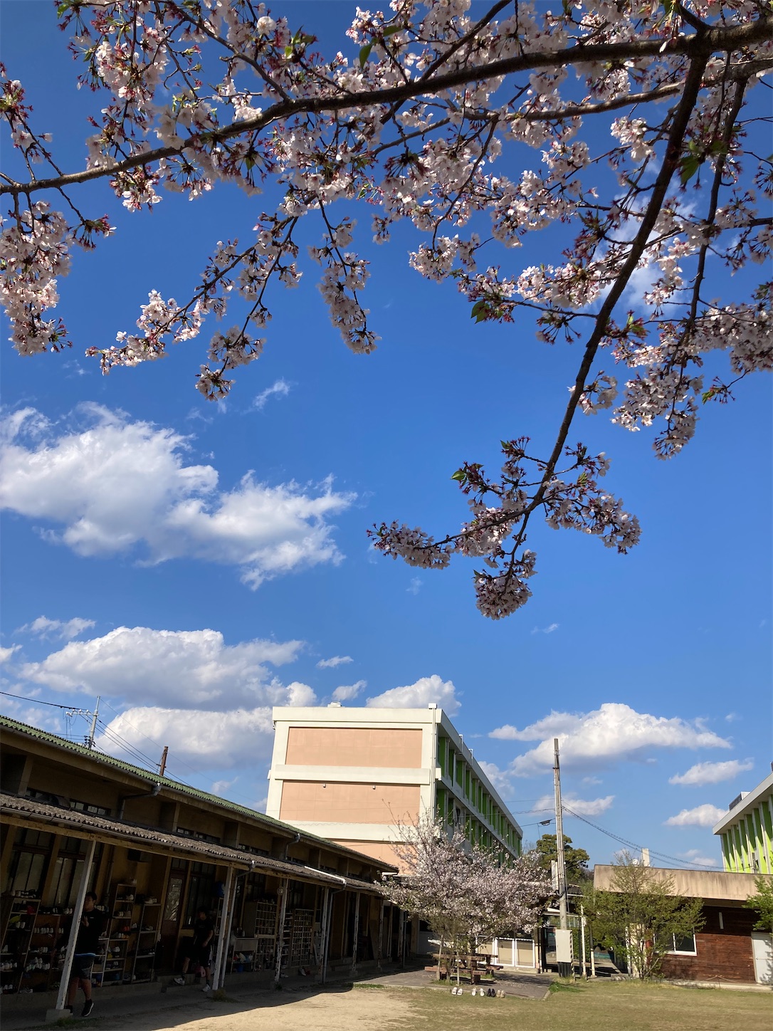 f:id:fymrsfujiko:20230410144452j:image f:id:fymrsfujiko:20230410144452j:image