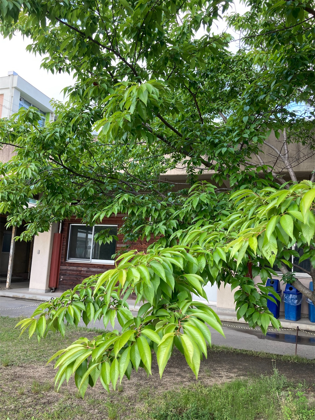 f:id:fymrsfujiko:20230515060753j:image f:id:fymrsfujiko:20230515060753j:image