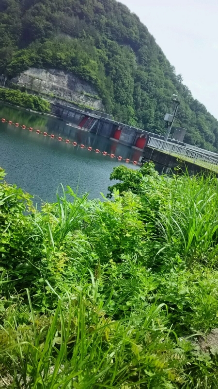 f:id:fyou:20170629201158j:plain