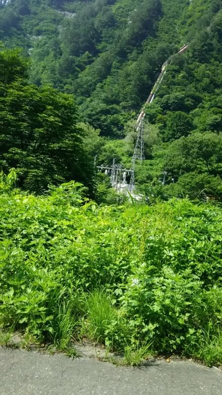 f:id:fyou:20170629201218j:plain