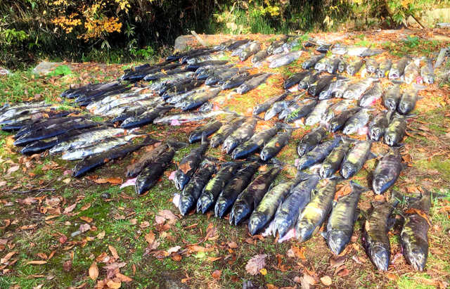 f:id:fyou:20171027113346j:plain