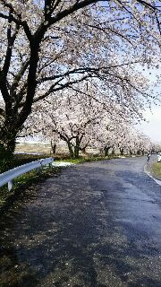 f:id:fyou:20180408121444j:plain