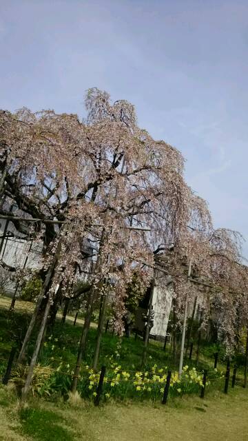 f:id:fyou:20180408121447j:plain