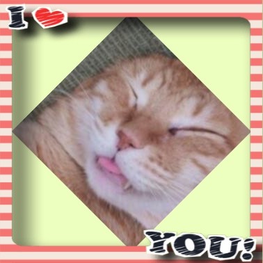 f:id:fyou:20180819070755j:image