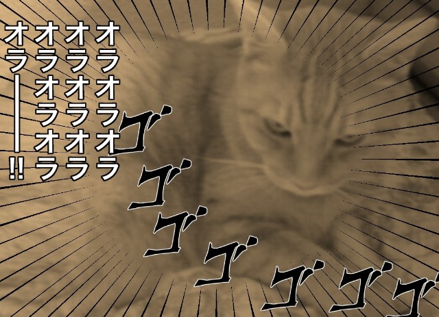 f:id:fyou:20180827115245j:image