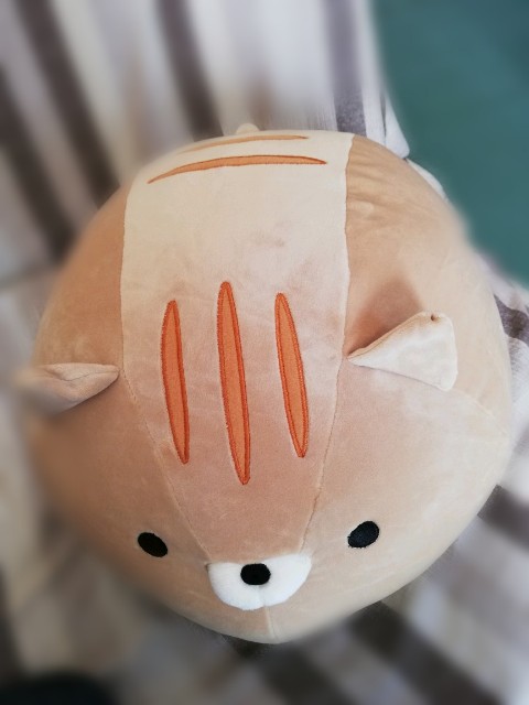 f:id:fyou:20181018155429j:image f:id:fyou:20181018155429j:image