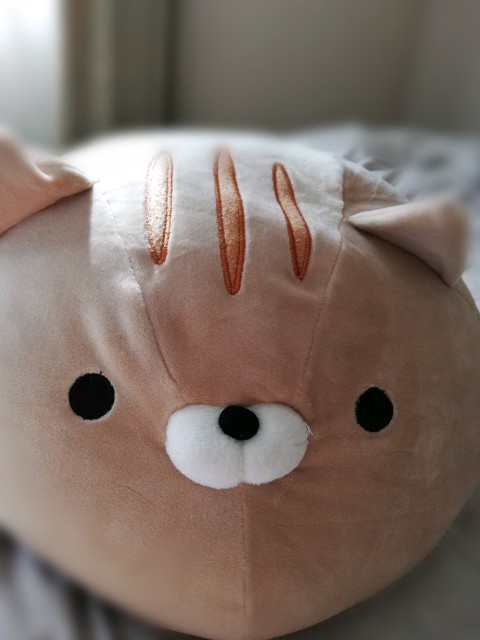 f:id:fyou:20181018155841j:image f:id:fyou:20181018155841j:image