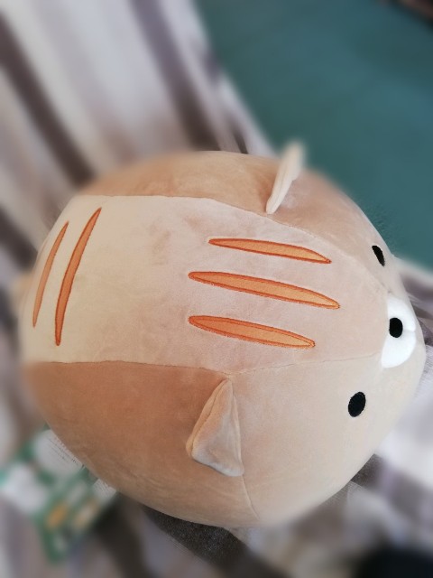 f:id:fyou:20181018155934j:image f:id:fyou:20181018155934j:image