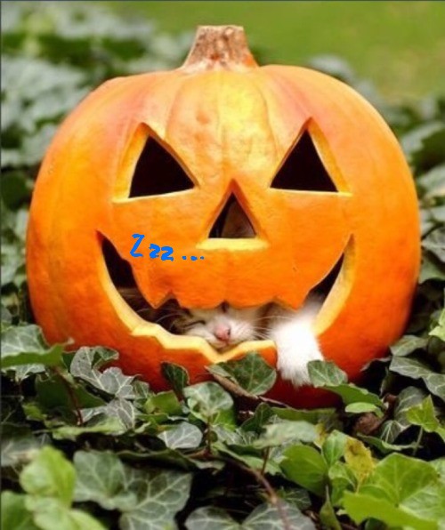 f:id:fyou:20181030152137j:image