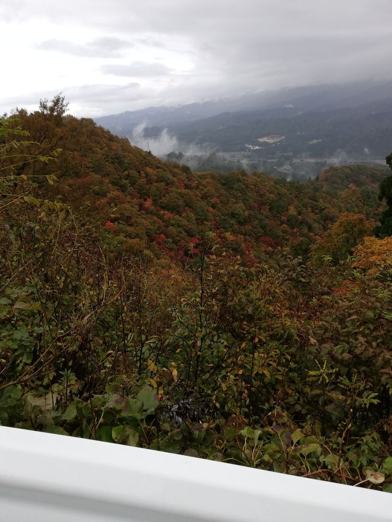 f:id:fyou:20181102171618j:plain