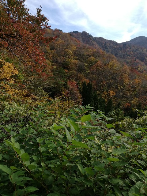 f:id:fyou:20181108161540j:image
