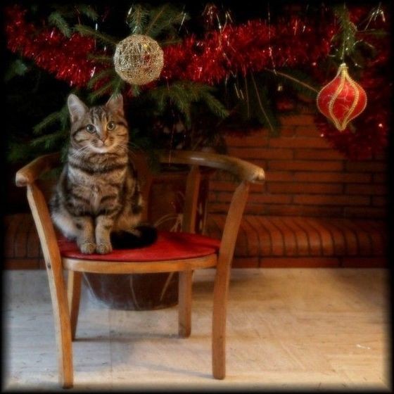 f:id:fyou:20181224172213j:image