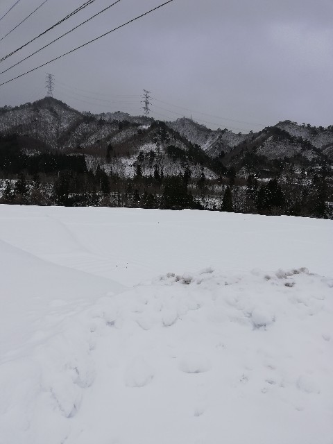 f:id:fyou:20190101135144j:image