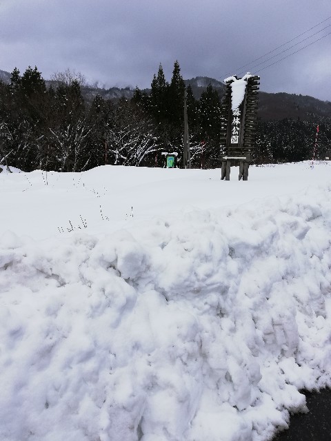 f:id:fyou:20190101135626j:image