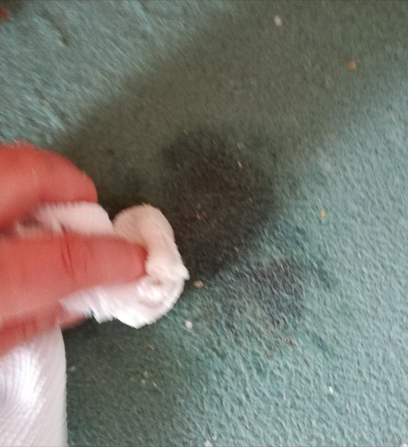 f:id:fyou:20190409171334j:image