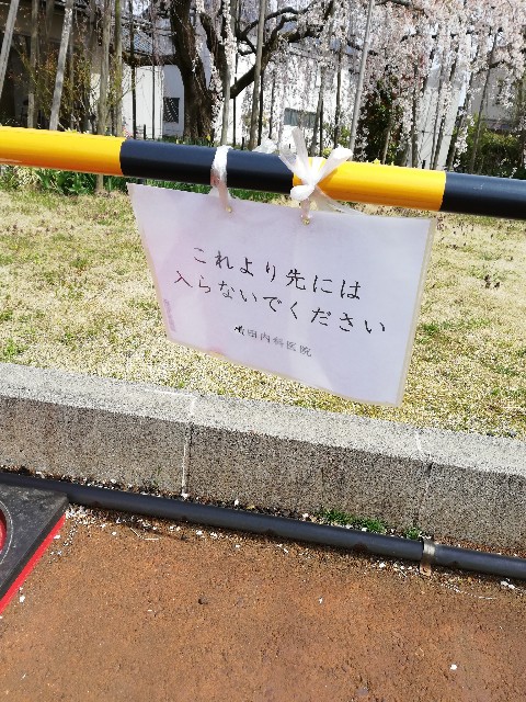 f:id:fyou:20190414162724j:image