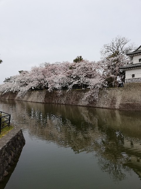 f:id:fyou:20190414163642j:image