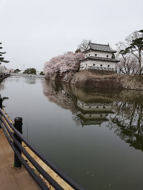 f:id:fyou:20190414164107j:image