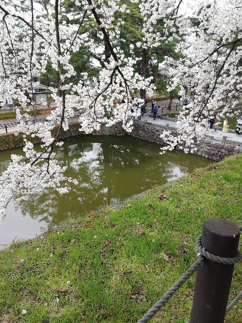 f:id:fyou:20190414165546j:image