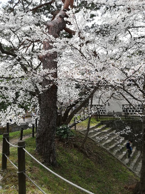 f:id:fyou:20190414165646j:image