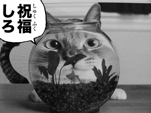 f:id:fyou:20190519155727j:image