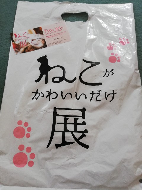 f:id:fyou:20190724162115j:image