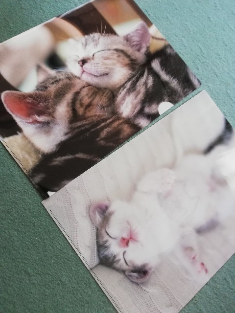 f:id:fyou:20190724162156j:image