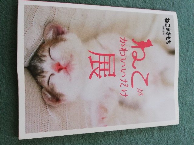 f:id:fyou:20190724162301j:image