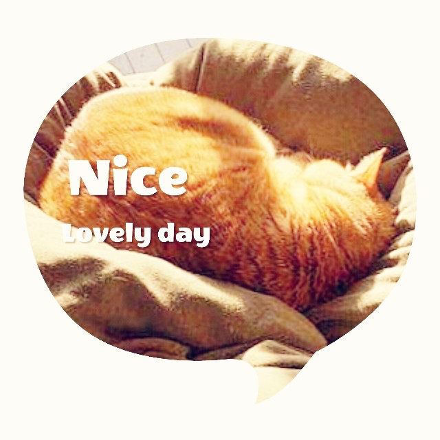 f:id:fyou:20200301191726j:image