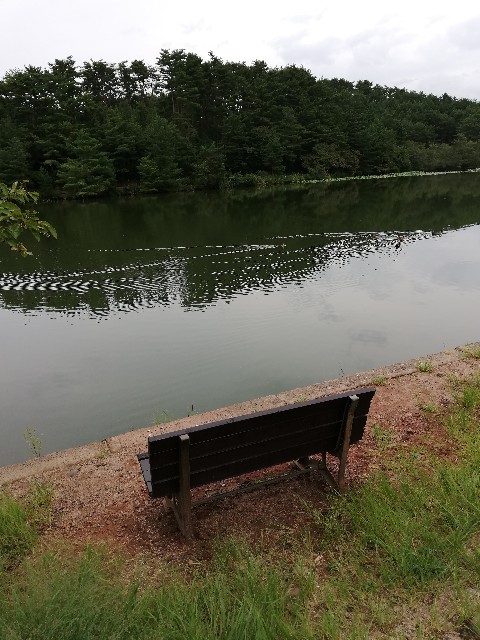 f:id:fyou:20200920155333j:image