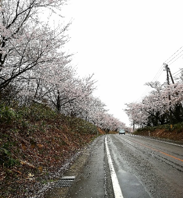 f:id:fyou:20210404155759j:image