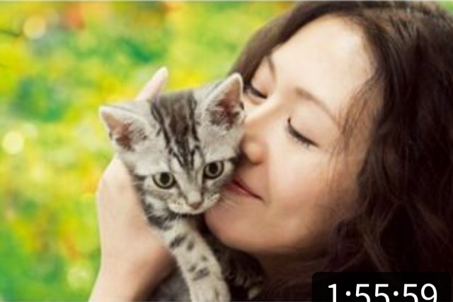 f:id:fyou:20220221183838j:image f:id:fyou:20220221183838j:image
