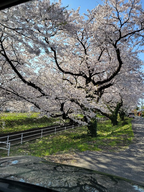 f:id:fyou:20240413164350j:image