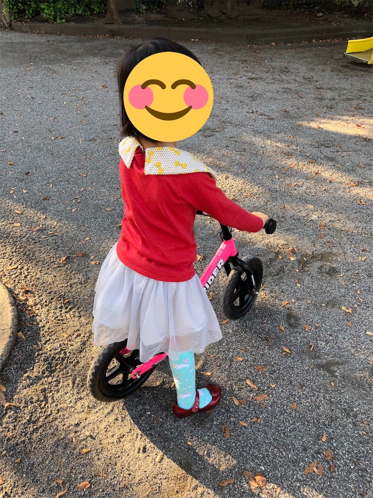 f:id:fyouko:20190112104752j:image f:id:fyouko:20190112104752j:image