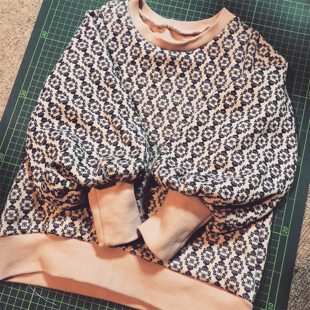 f:id:fyouko:20190212125132j:image f:id:fyouko:20190212125132j:image