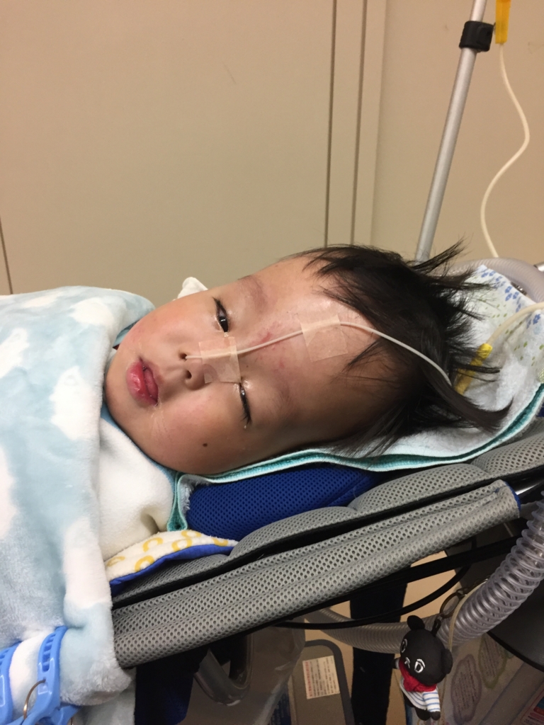 f:id:fz4001979:20170213231748j:plain f:id:fz4001979:20170213231748j:plain