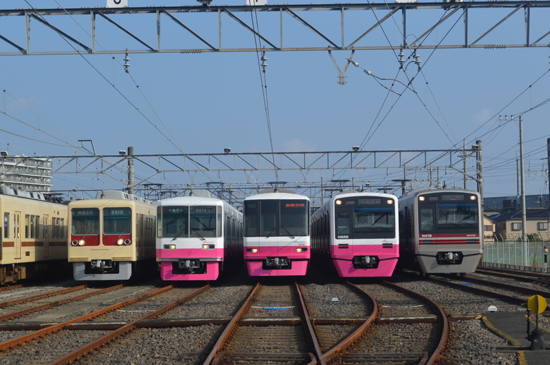 イメージ 7
