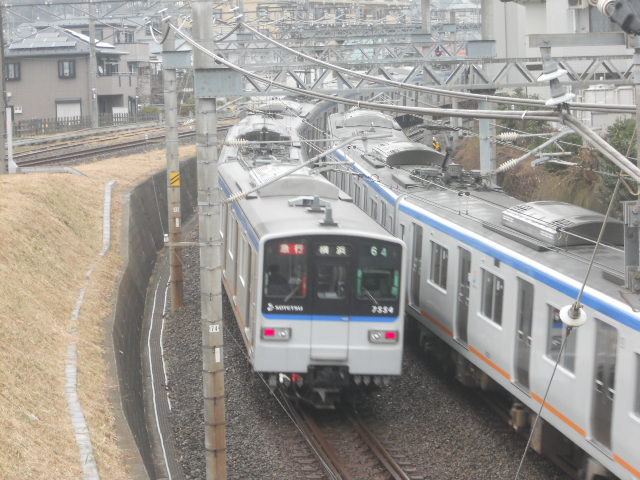 イメージ 5