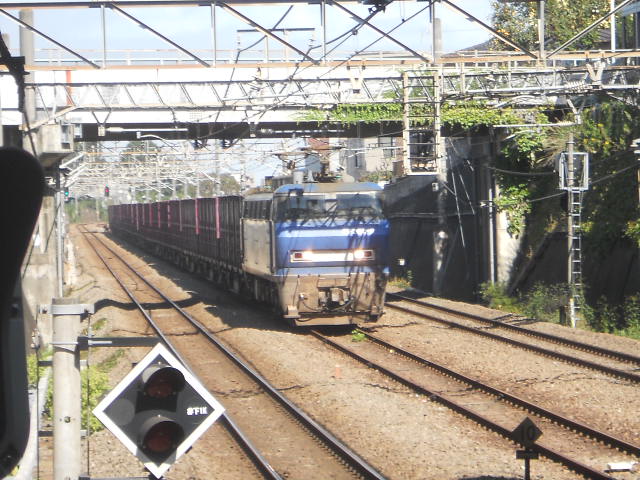 イメージ 7