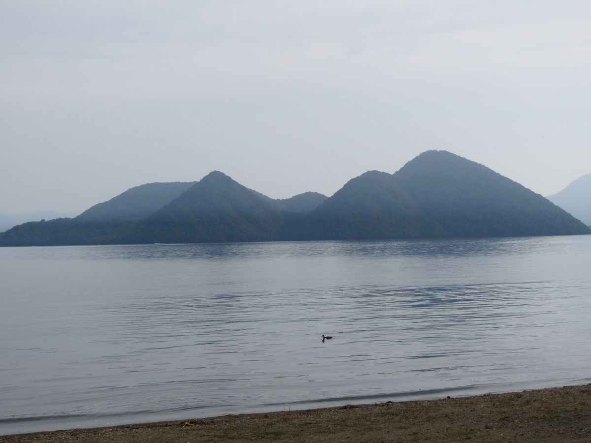 f:id:fzrrkazu:20200201134908j:plain
