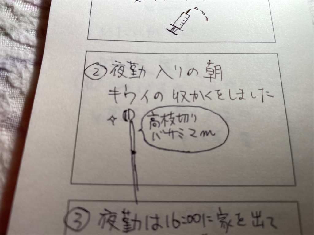 f:id:g-indy600:20201104001658j:image f:id:g-indy600:20201104001658j:image