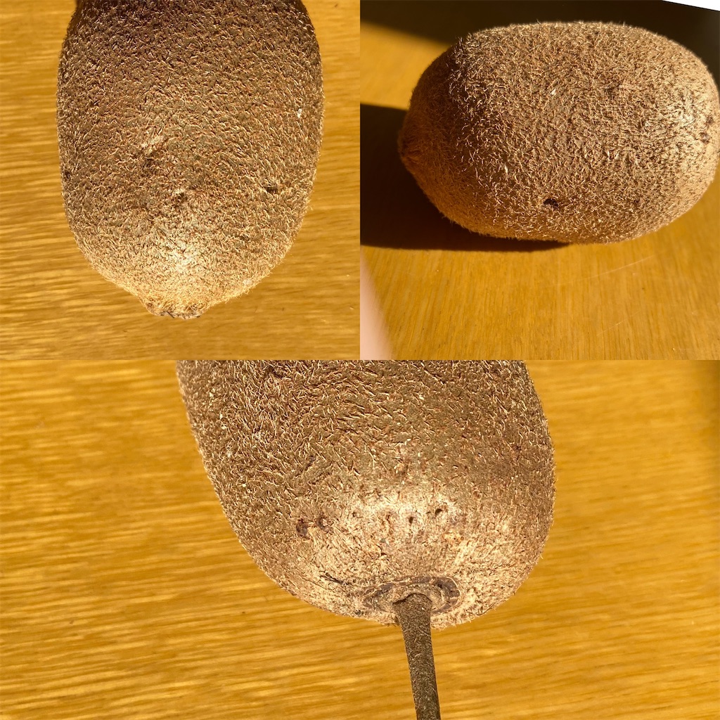 f:id:g-indy600:20201208115740j:image f:id:g-indy600:20201208115740j:image